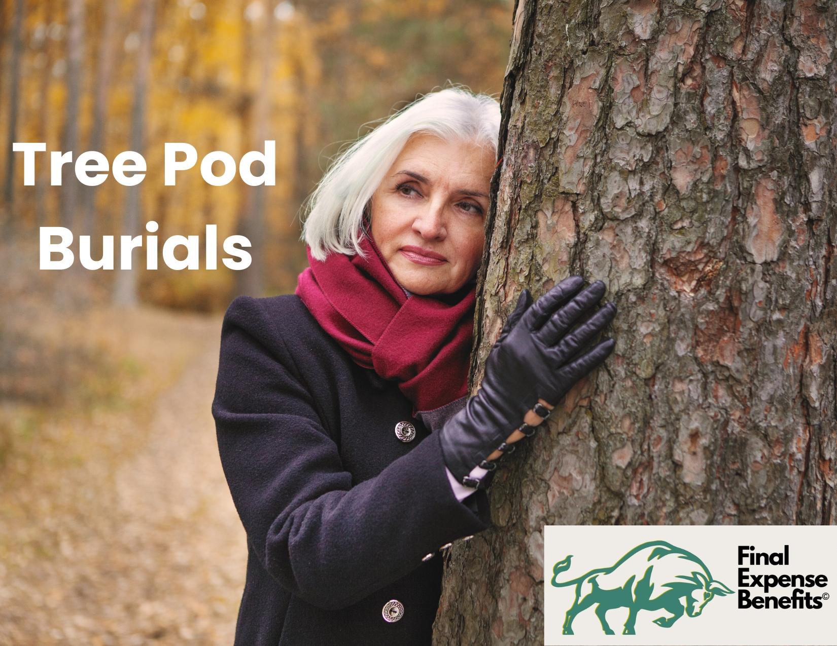 Tree Pod Burials