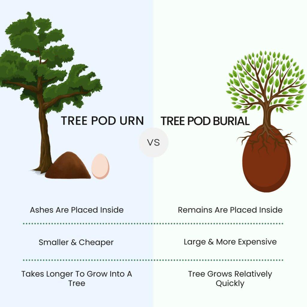 final expense benefits tree pod burial vs tree pod urn and different kinds of tree pod burial