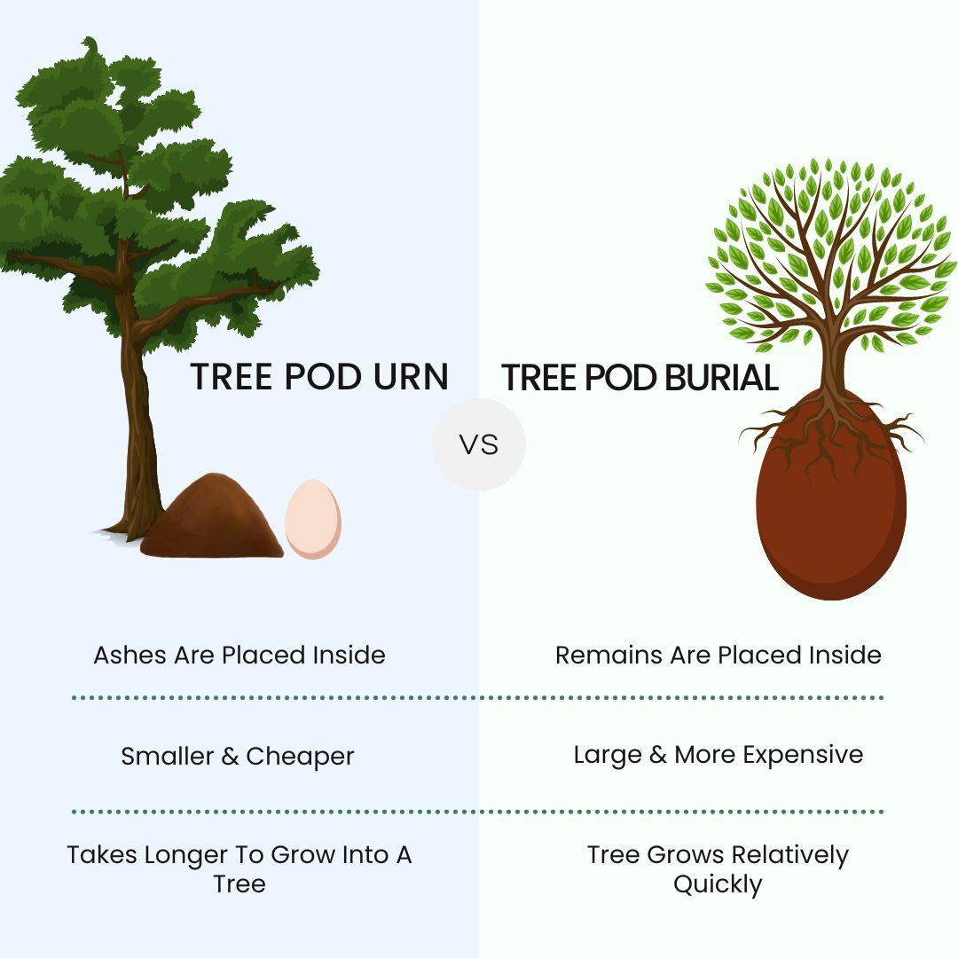 final expense benefits tree pod burial vs tree pod urn and different kinds of tree pod burial