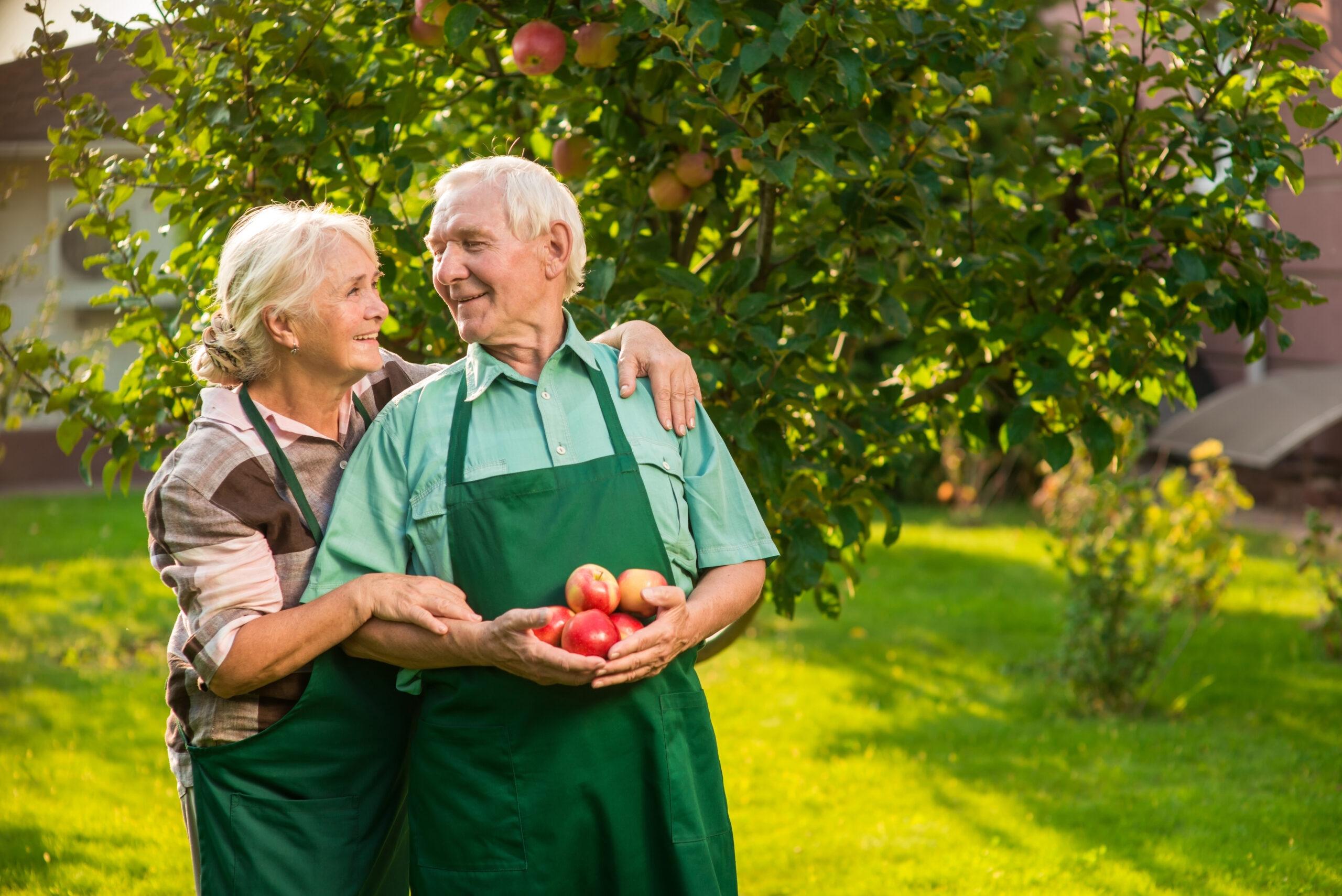 Elderly couple with apples