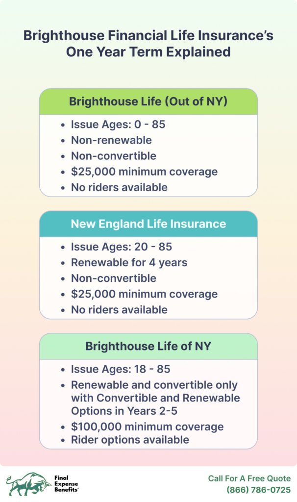Infographic explaining Brighthouse Financial Life Insurance's term life policies.