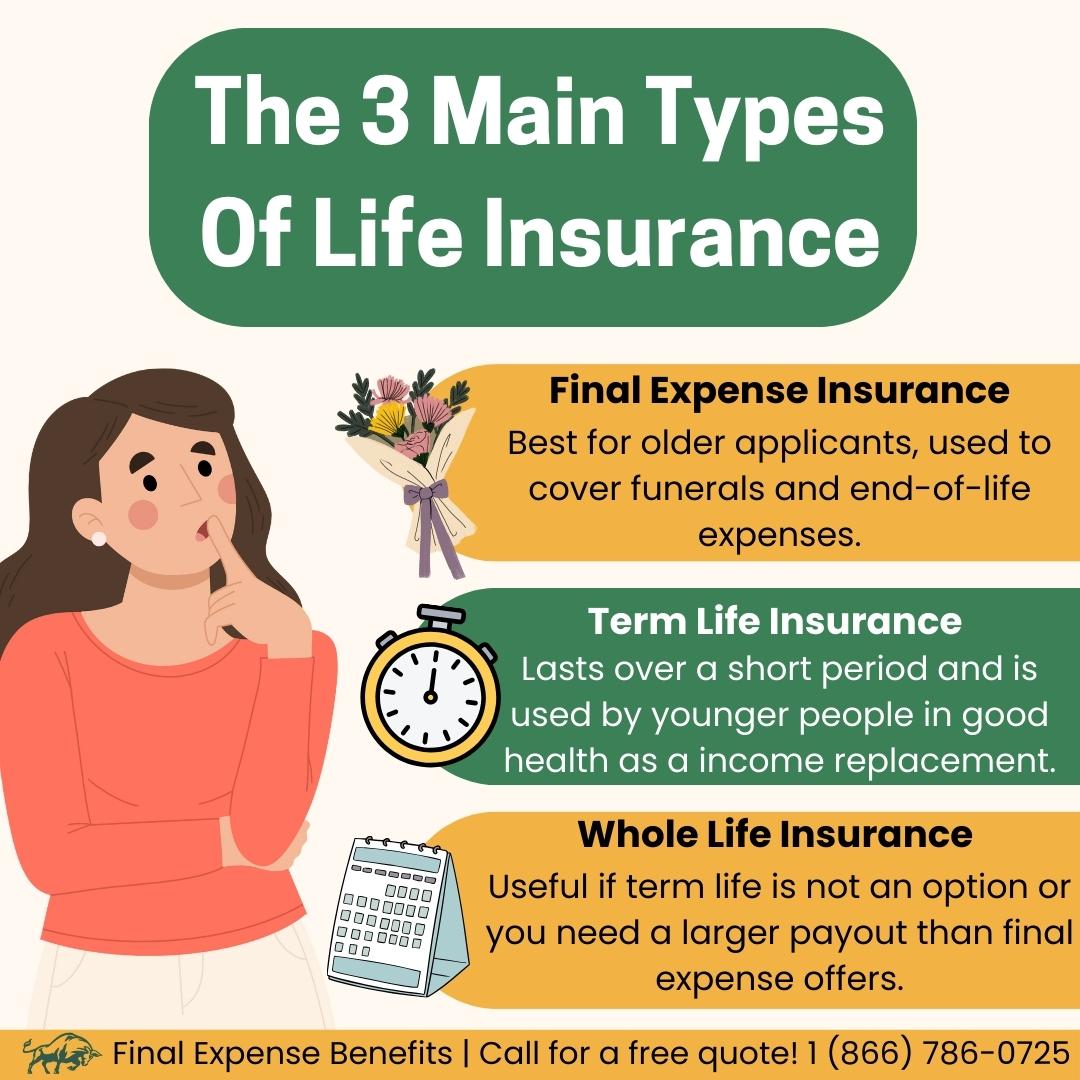 An infographic describing each of the three major forms of life insurance: final expense insurance, term life, and whole life.