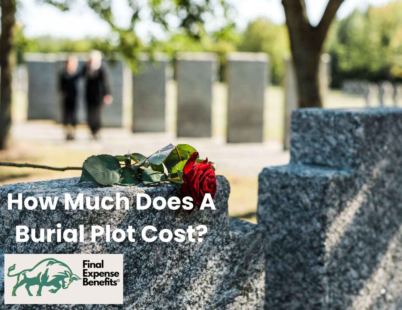 Flowers at a grave site, with text reading "How Much Does A Burial Plot Cost?"