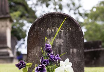 Detail from the cemetery