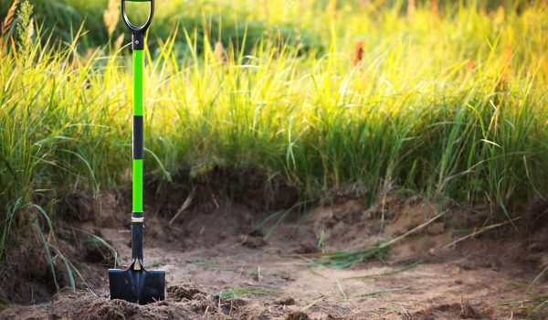 A shovel that is standing upright in some dirt with tall grass in the background.